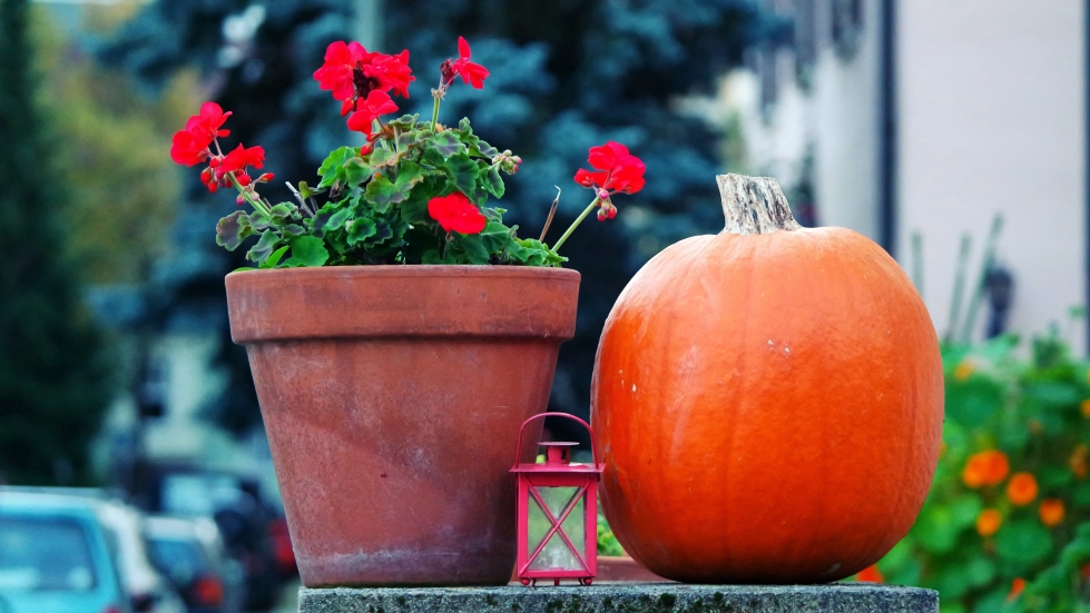 Bogenhausen Autumn Walkabout